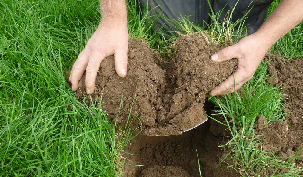 Two hands holding a clump of soil in a grassy field.
